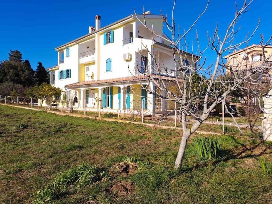 Apartment Laurus Premantura Buitenkant foto